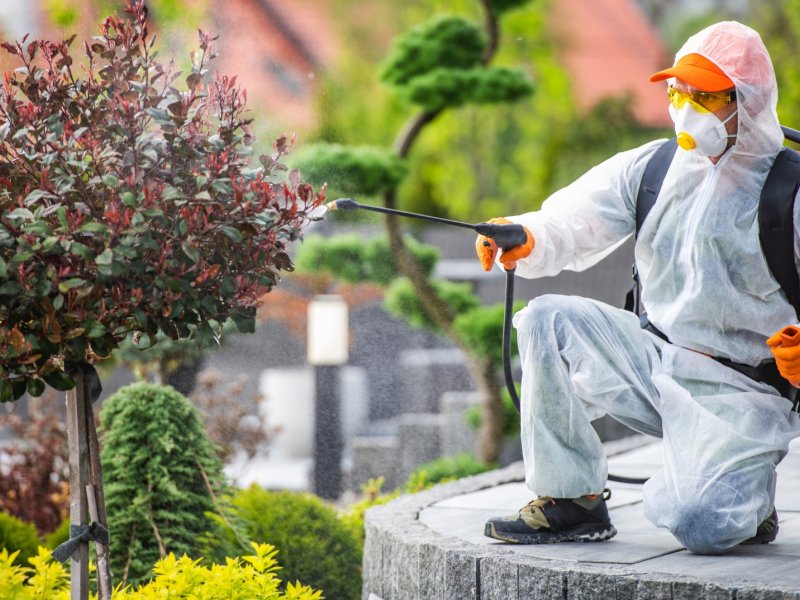 Gönen Haşere İlaçlama